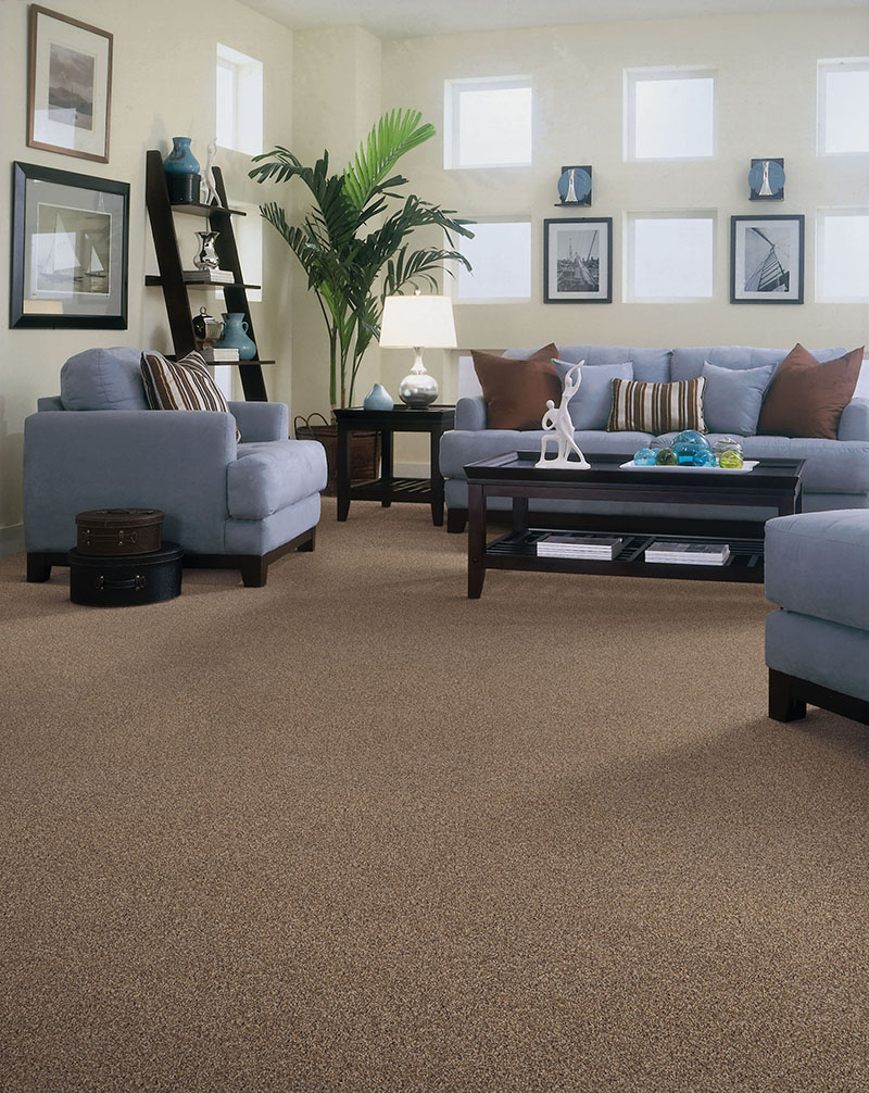 Carpet. Floors Now Great Value.